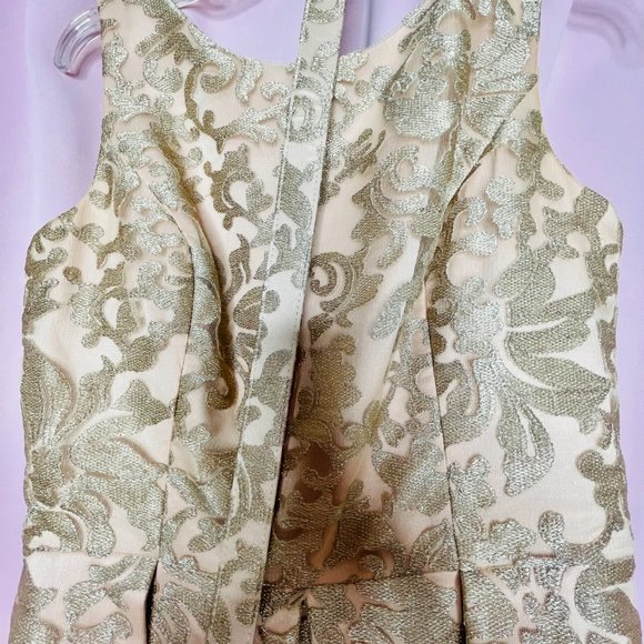 Gold Lace Fit & Flare Cocktail/Formal Dress Size 4 - Picture 7 of 10